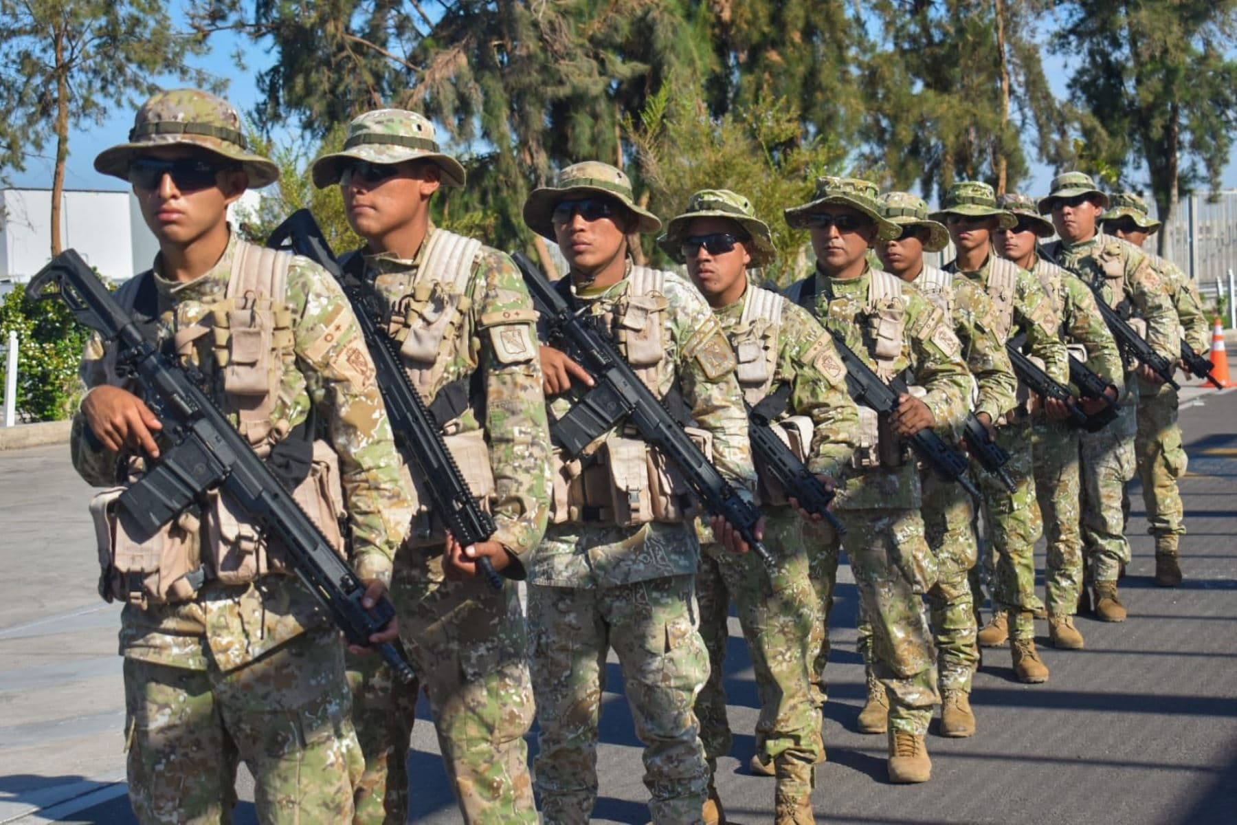 Fuerzas Armadas consolidan apoyo en control fronterizo con Chile ante estado de emergencia