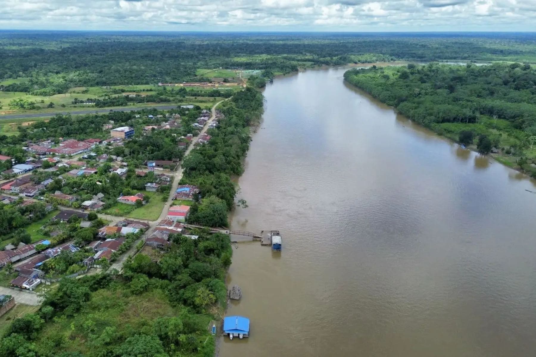Ceplan plantea reforestar 3 millones de hectáreas en la Amazonía peruana