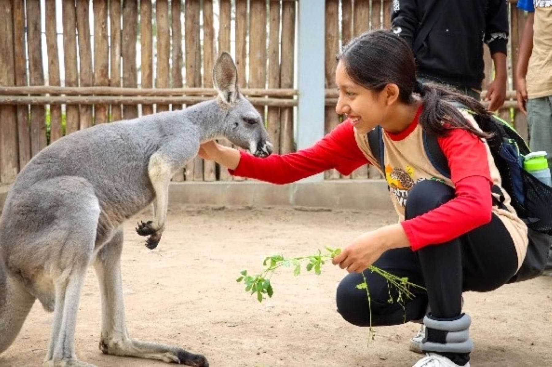 ¡No busques más! Aventura de Verano 2026 está en el Parque de las Leyendas Lima